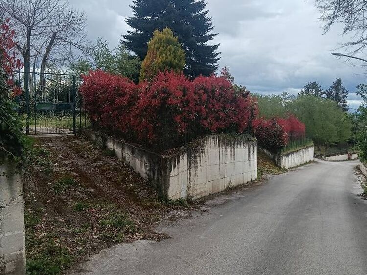foto 2 del terreno