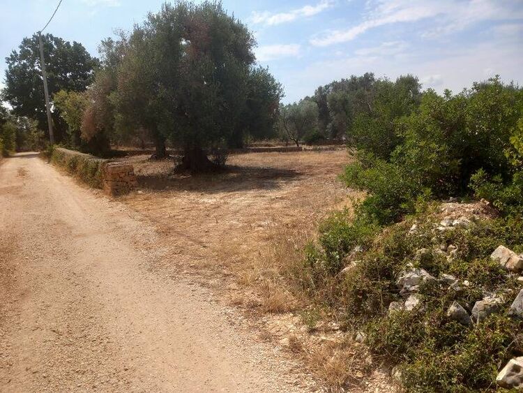 foto 2 del terreno