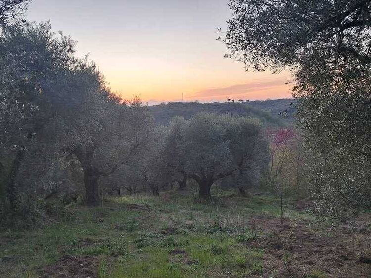 foto 2 del terreno