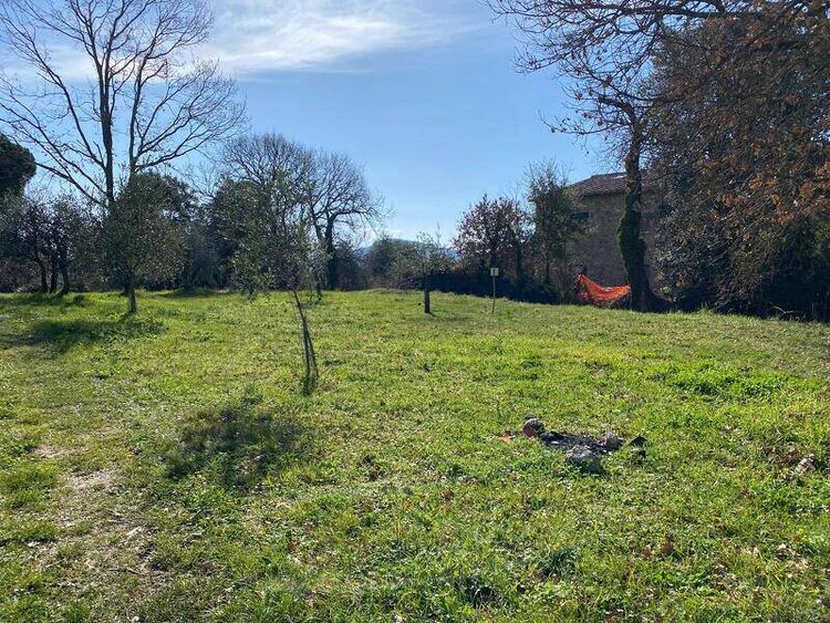 foto 2 del terreno
