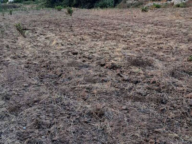 foto 3 del terreno