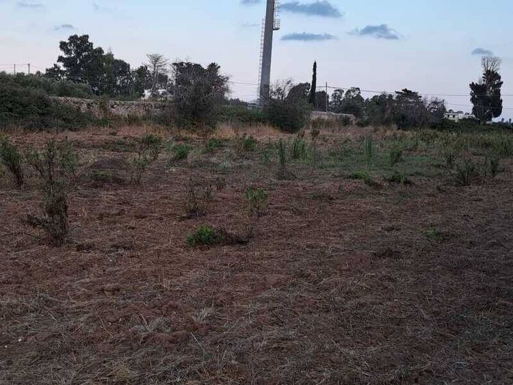 foto 4 del terreno