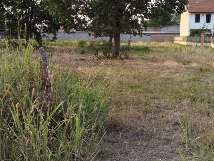 foto 3 del terreno