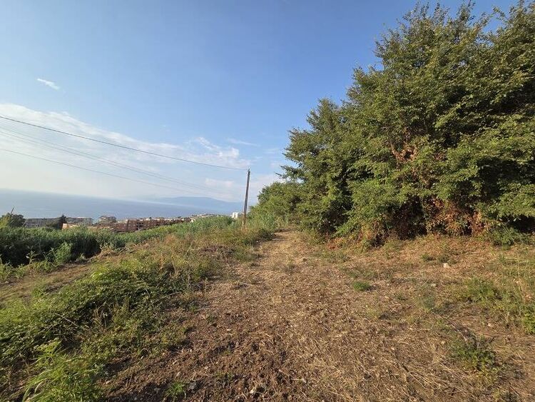 foto 5 del terreno
