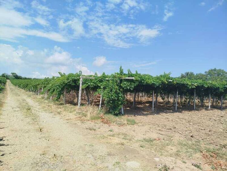 foto 2 del terreno