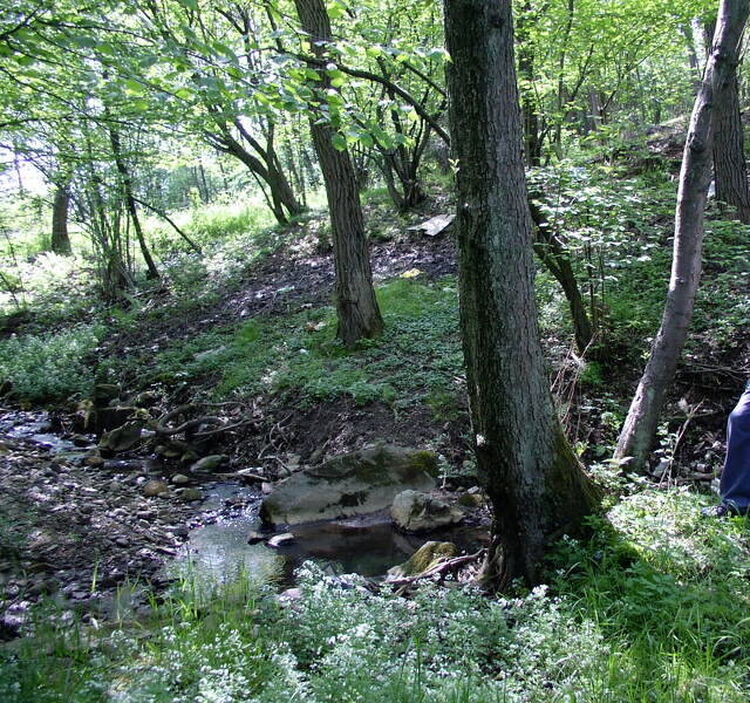 foto 2 del terreno