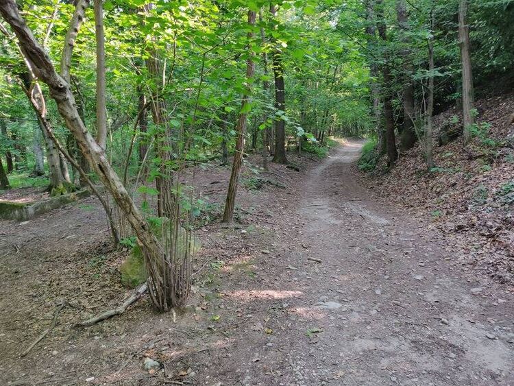 foto 3 del terreno