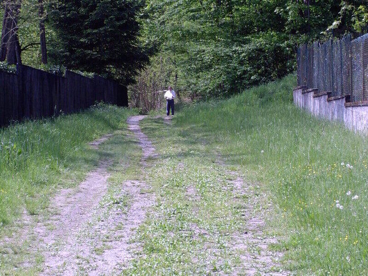 foto 4 del terreno