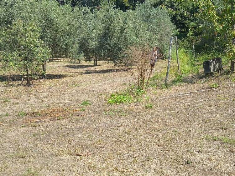 foto 2 del terreno