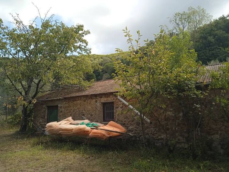 foto 3 del terreno