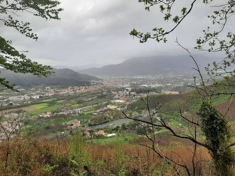 foto 4 del terreno
