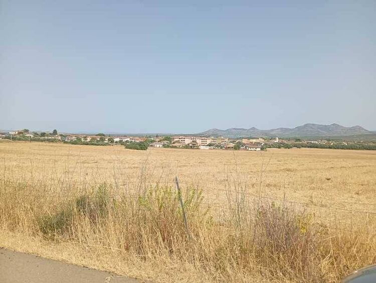 foto 4 del terreno