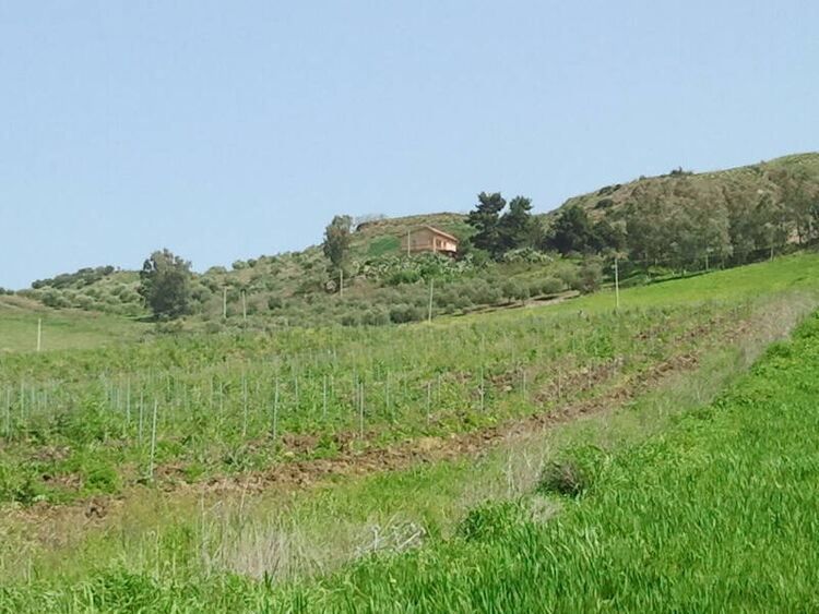 foto 3 del terreno