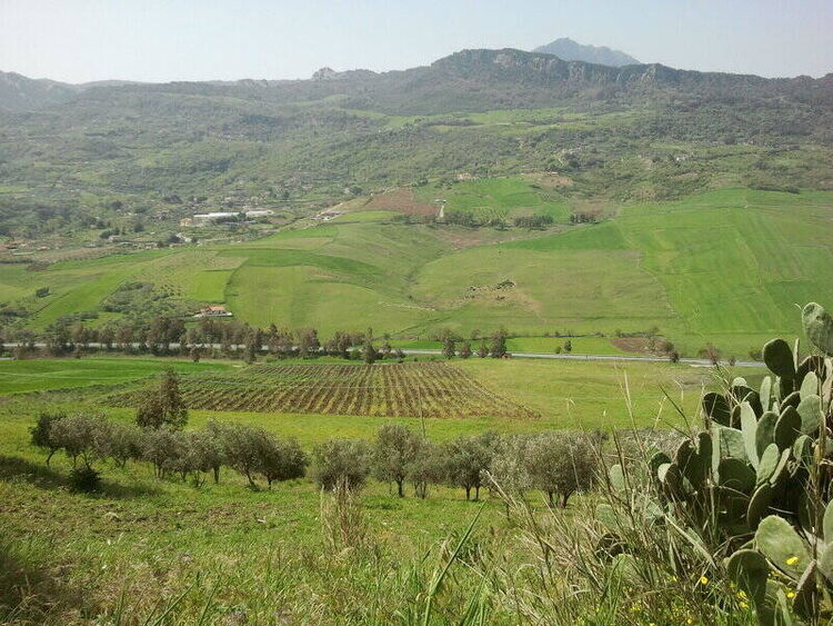 foto 4 del terreno