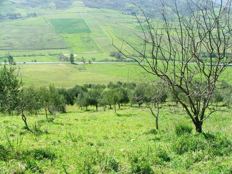 foto 5 del terreno