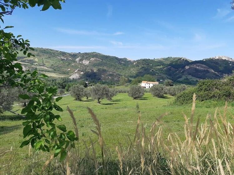 foto 5 del terreno
