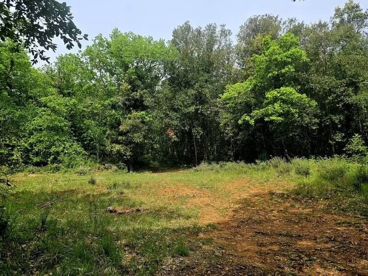 foto 4 del terreno