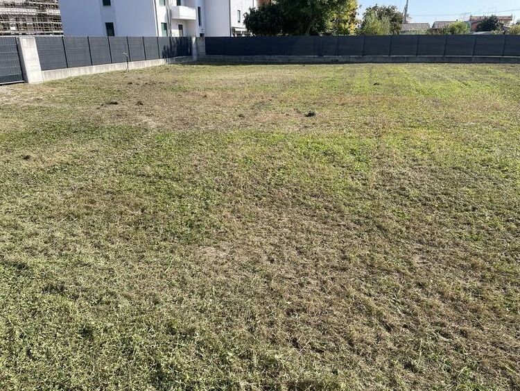 foto 2 del terreno