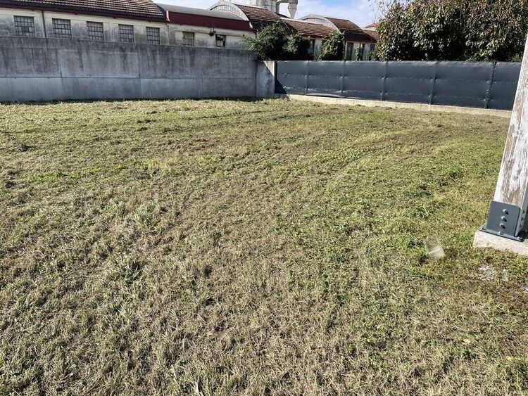 foto 3 del terreno