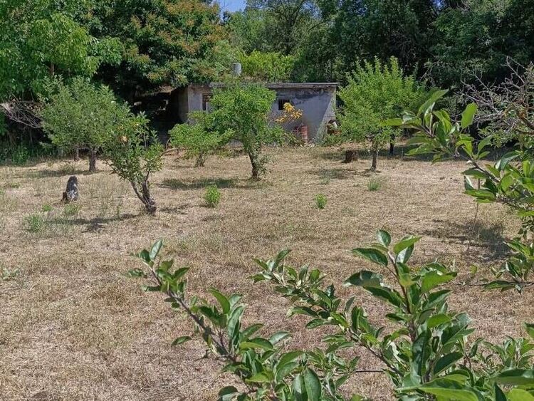 foto 3 del terreno