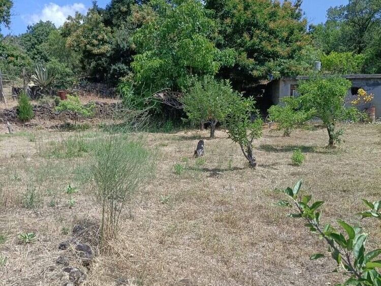 foto 5 del terreno