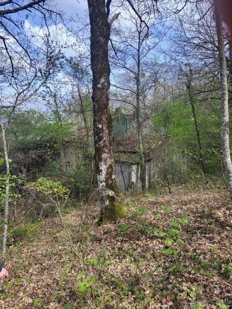 foto 4 del terreno