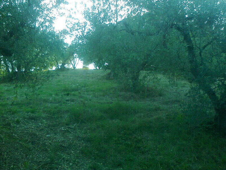 foto 2 del terreno