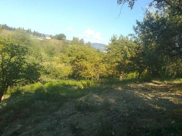 foto 3 del terreno