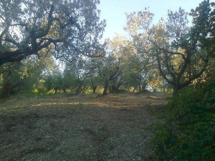 foto 5 del terreno