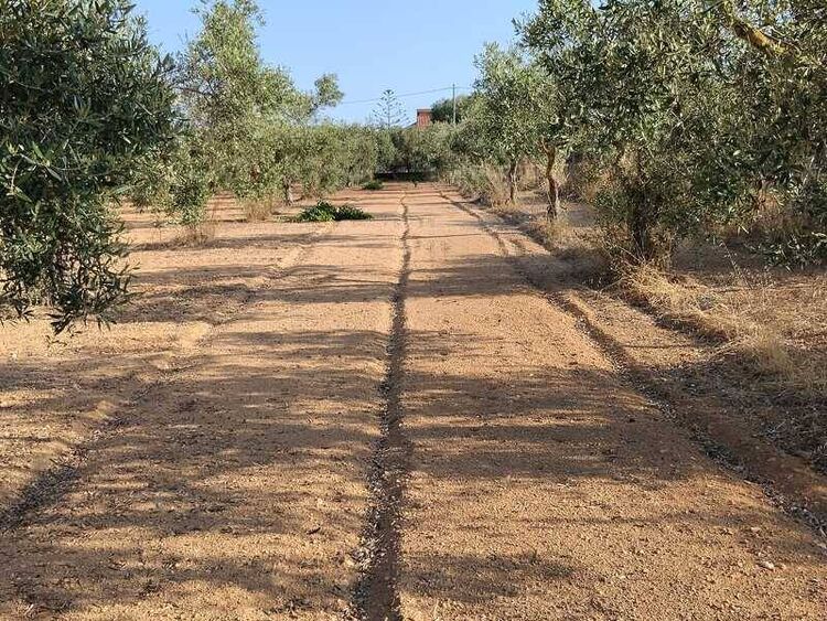 foto 2 del terreno