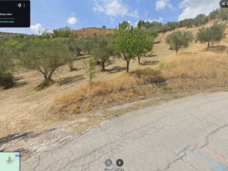 foto 2 del terreno