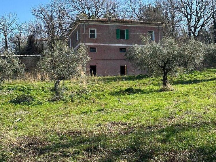 foto 2 del terreno