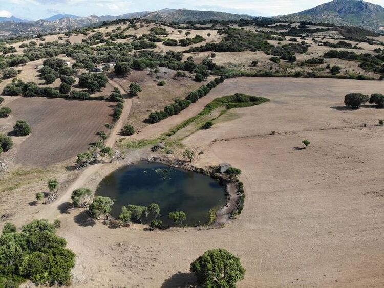 foto 3 del terreno
