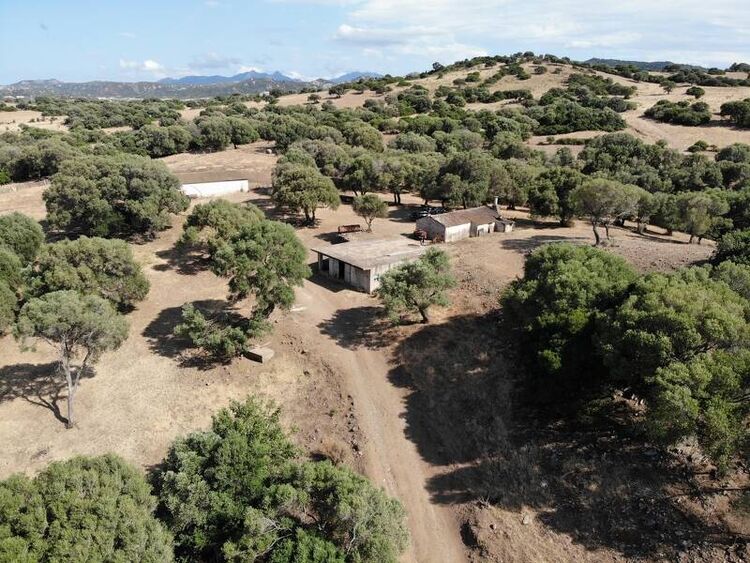 foto 4 del terreno