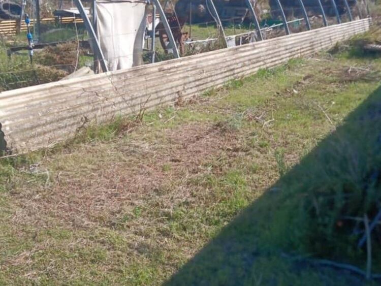 foto 2 del terreno