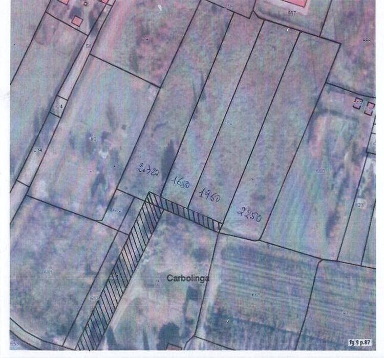 foto 2 del terreno
