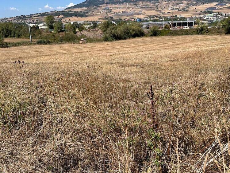 foto 3 del terreno