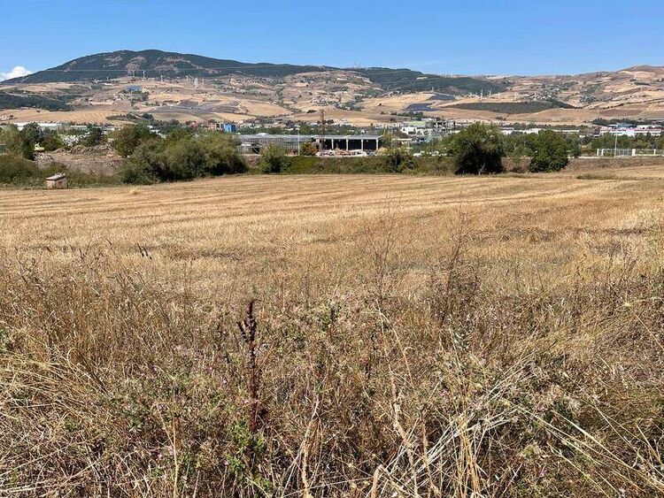 foto 4 del terreno
