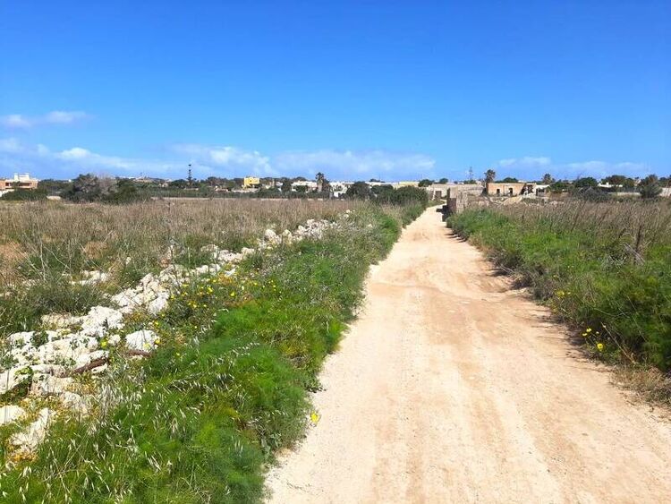 foto 2 del terreno