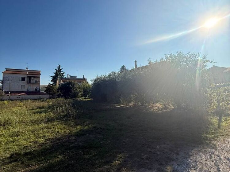 foto 2 del terreno