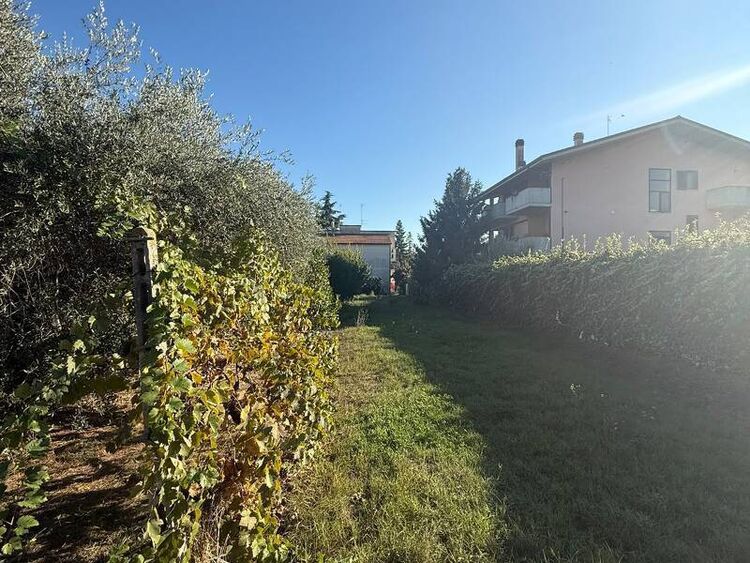 foto 3 del terreno