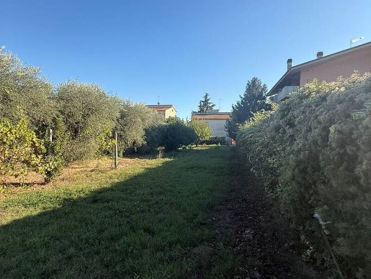 foto 4 del terreno