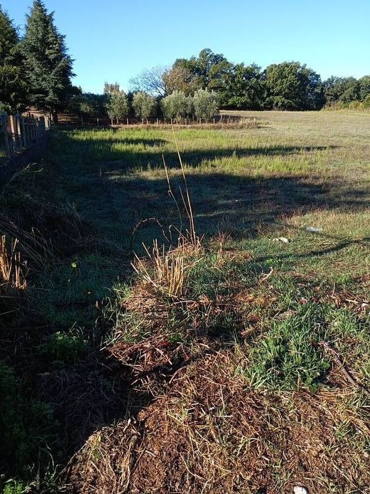 foto 4 del terreno