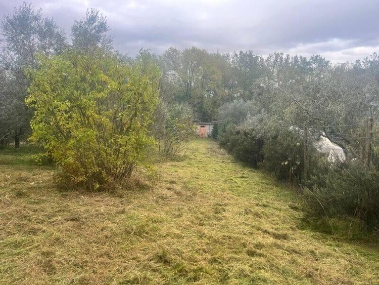 foto 2 del terreno