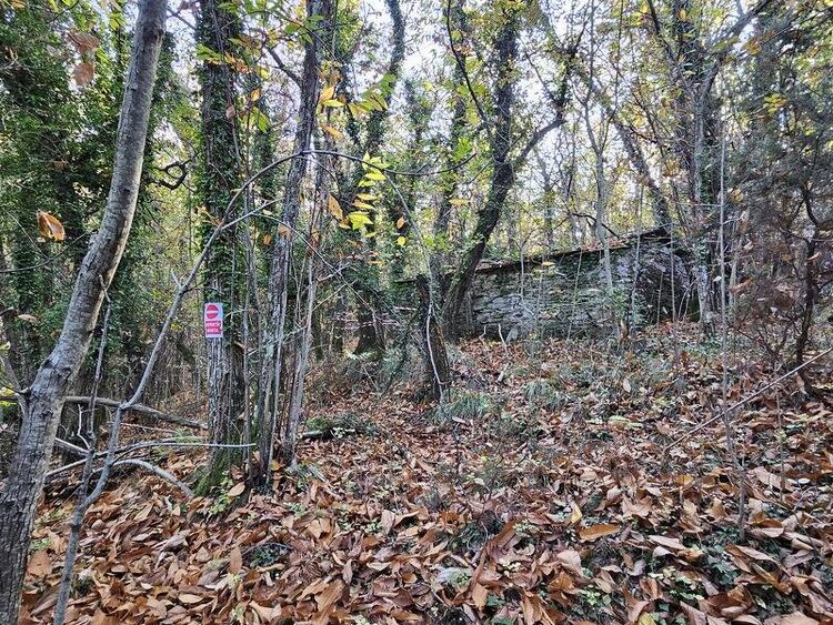 foto 2 del terreno