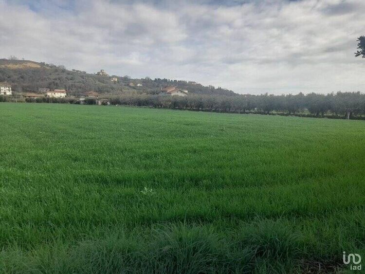 foto 2 del terreno