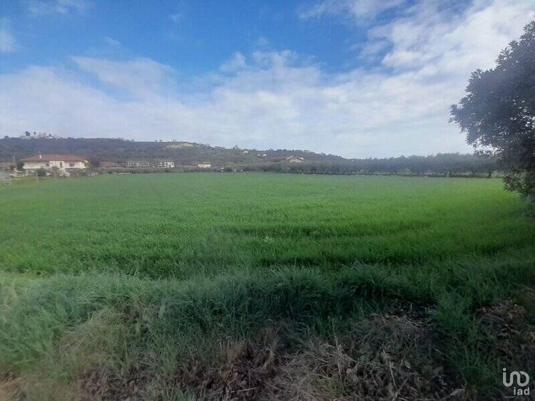 foto 3 del terreno