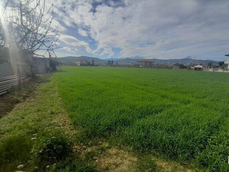 foto 5 del terreno