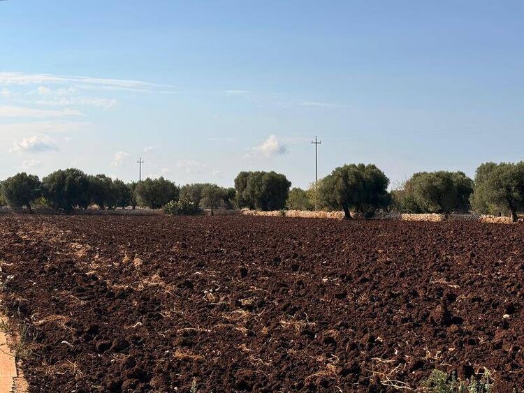 foto 2 del terreno