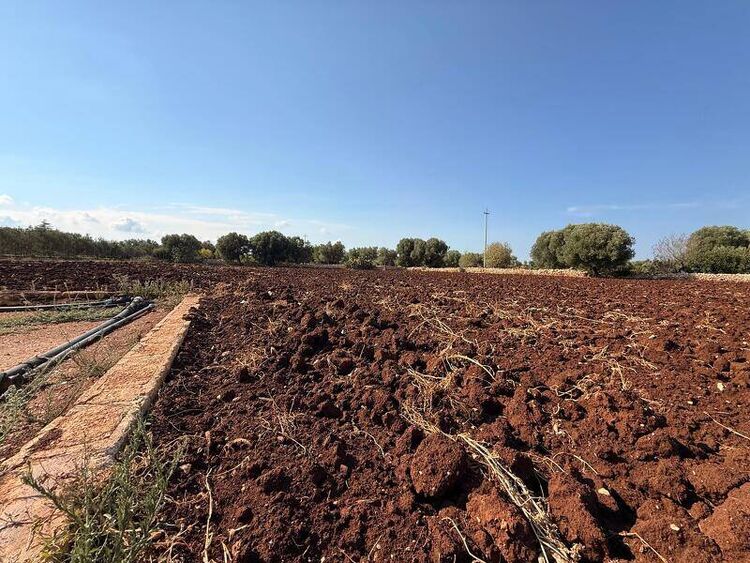foto 4 del terreno